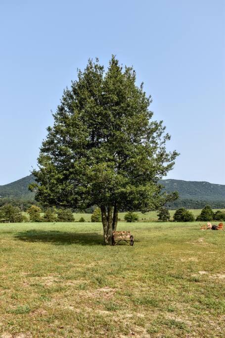 Holly Tree Retreat Located In Beautiful Luray, Va. Villa Eksteriør billede