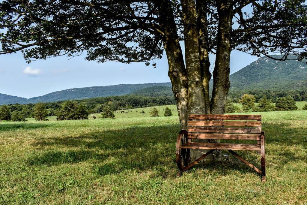 Holly Tree Retreat Located In Beautiful Luray, Va. Villa Eksteriør billede