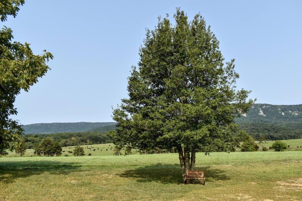 Holly Tree Retreat Located In Beautiful Luray, Va. Villa Eksteriør billede